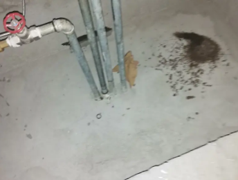 漯河市卫生间测漏水价格明细