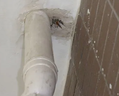 漯河市漏水检测哪家好